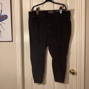 BOGO TORRID 24S Sky High skinny jeans